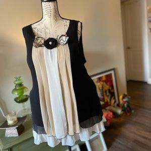 PLUS tunic NWOT. Size 2x. Black & Tan